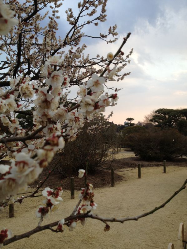 rblog-20140417054223-01.jpg