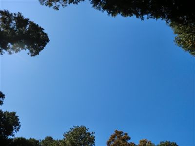 CIMG3049_R.JPG