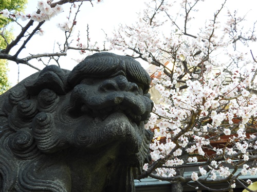 湯島天神