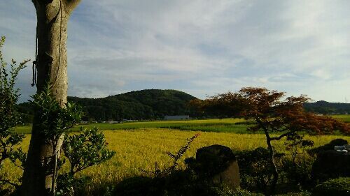 rblog-20180902220106-05.jpg