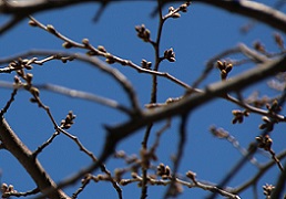 IMG_3066-15.jpg