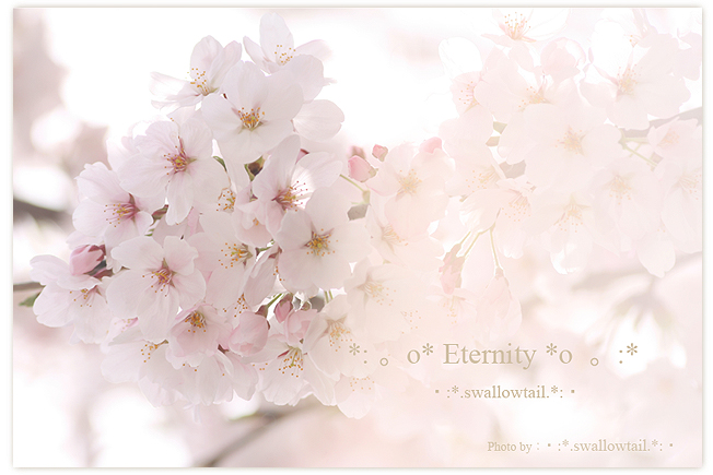 Photo by swallowtail　B.jpg