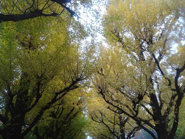 DSC07808_R.JPG