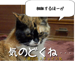 P6020030.png