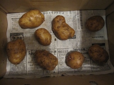 poteto