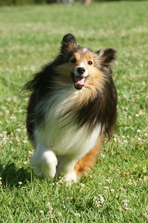 DSC05526.jpg