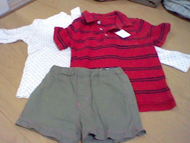 東戸塚のオリーブにて カピバラ家族 簡易版 楽天ブログ