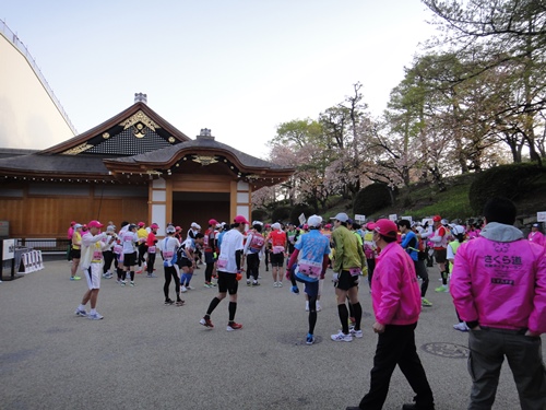 2015さくら道国際ネイチャーラン07