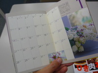 P1000731