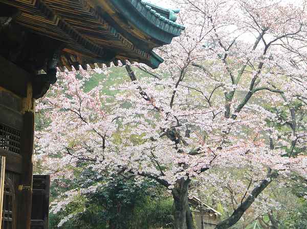 建長寺