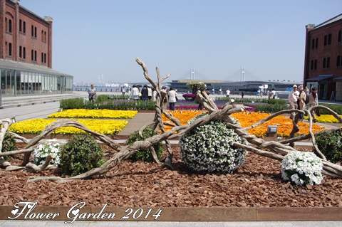 Flower Garden 2014