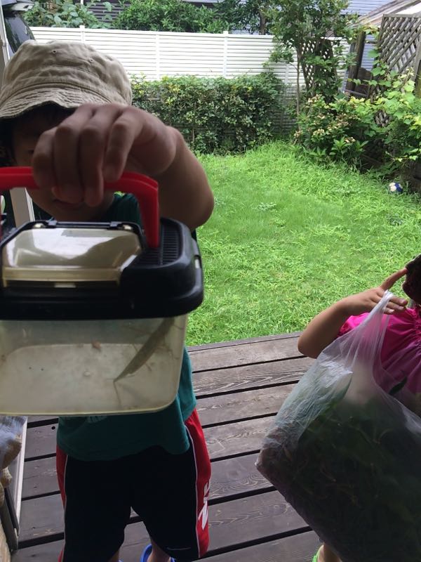 rblog-20150729000152-00.jpg