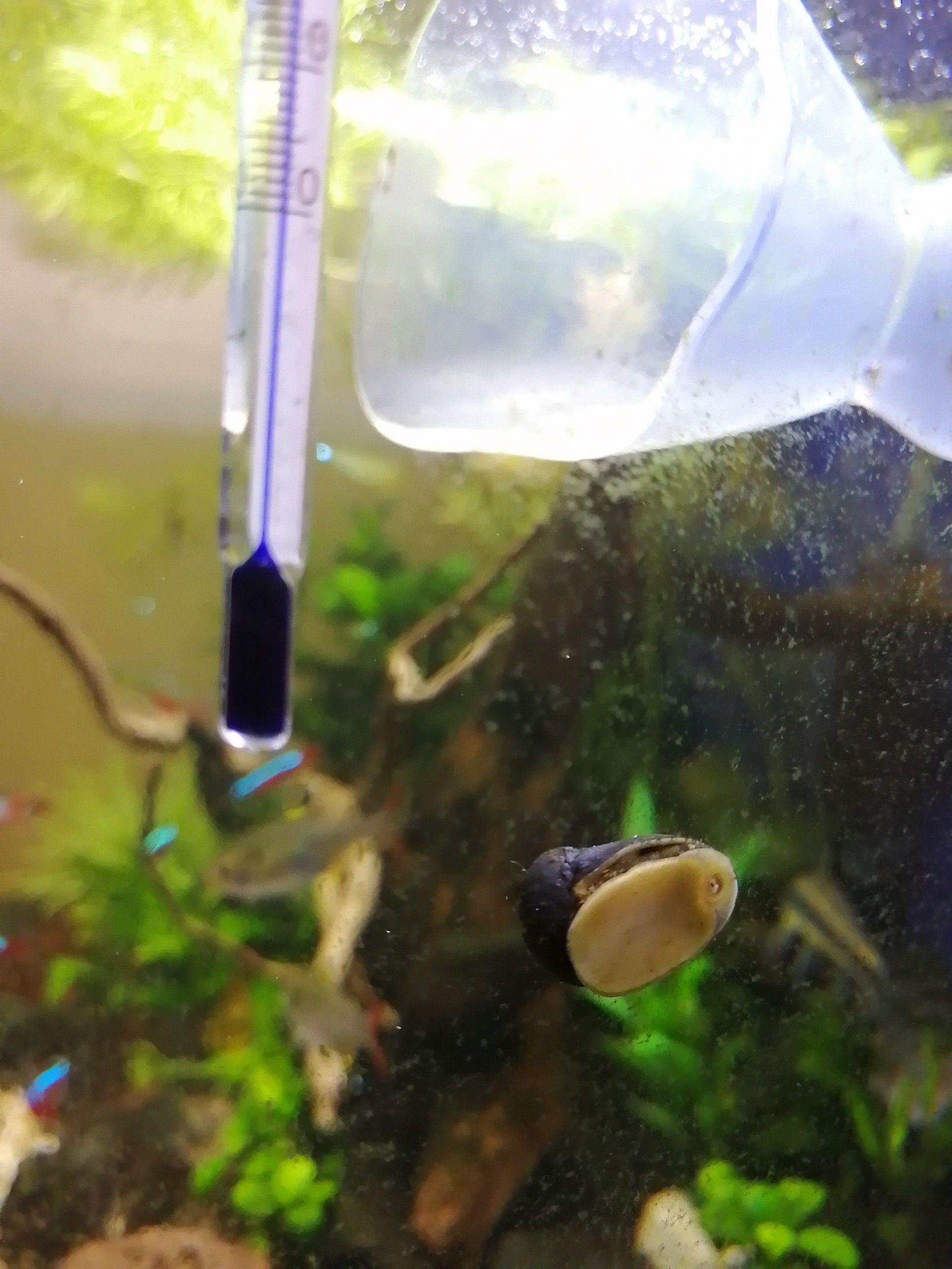 趣味 ハレグ のブログ 楽天ブログ