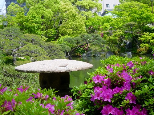 024 (500x374).jpg