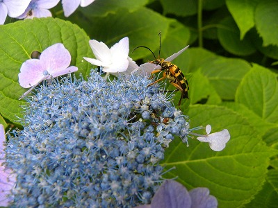 DSCN9641.jpg