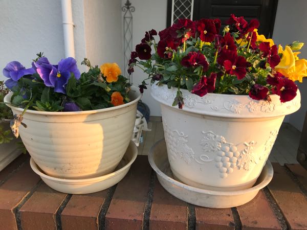 rblog-20180325184635-07.jpg