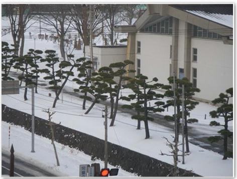 センターの窓からの景色2