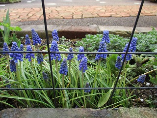 IMG_0040ss.jpg