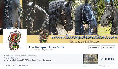 TheBaroqueHorseStore.jpg