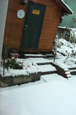 2017-10-23snow (1).JPG