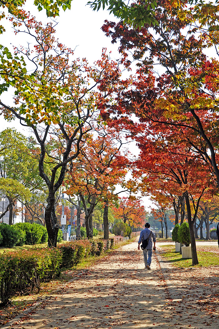 紅葉１