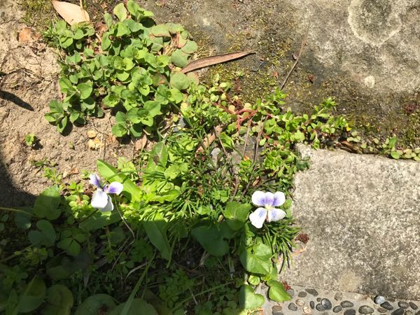 rblog-20180329182739-01.jpg