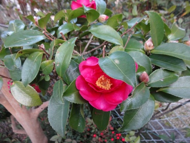 DSC01464.jpg