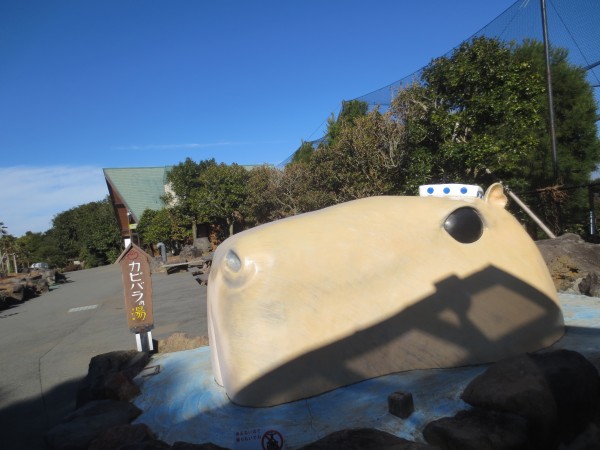 カピバラ
