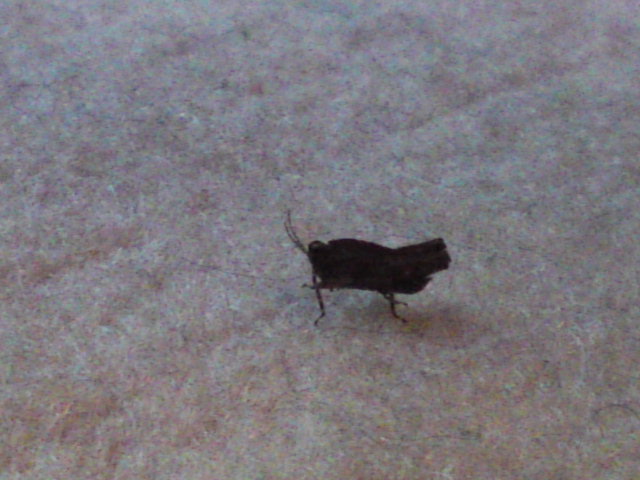 2012-04-07 16:22:37