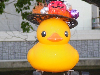 IMGP2102.jpg