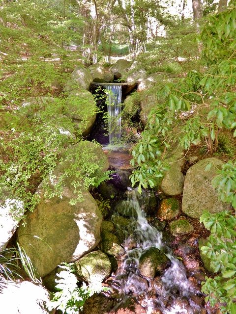 長谷池北岸1