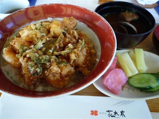 P1090028.jpg