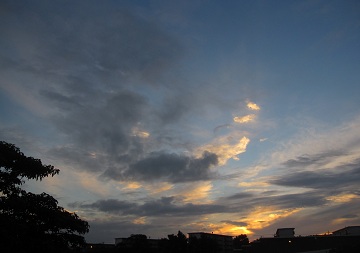 IMG_9676.JPG