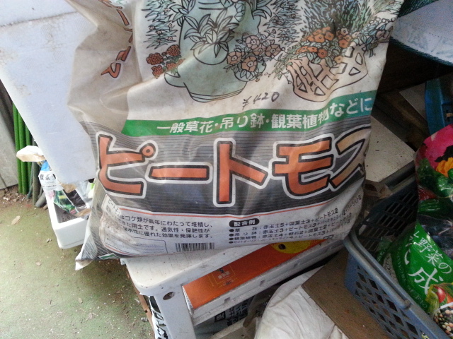 20150603 ﾋﾟｰﾄﾓｽ.jpg