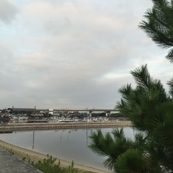 rblog-20160820065808-01.jpg