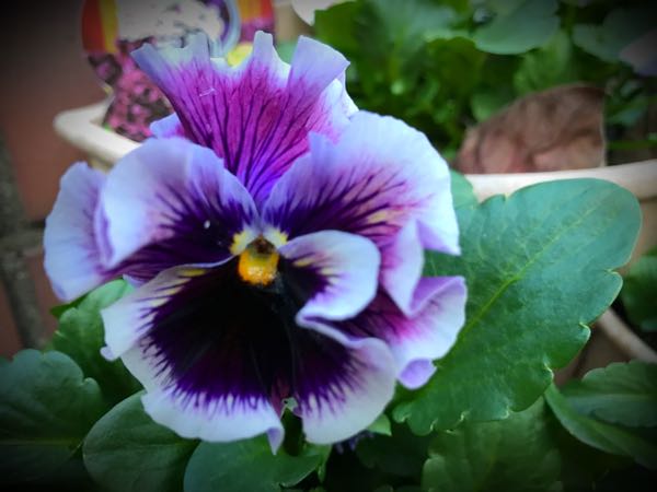 rblog-20161128164756-06.jpg