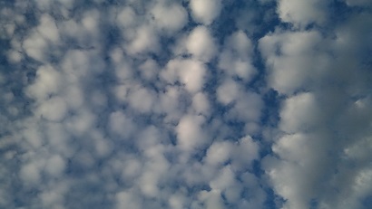 P_20160829_055126.jpg