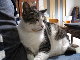 IMG_6602ss.jpg