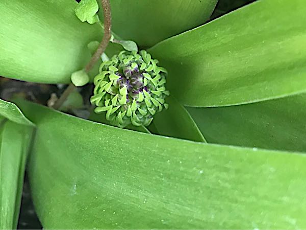 rblog-20190423181829-04.jpg