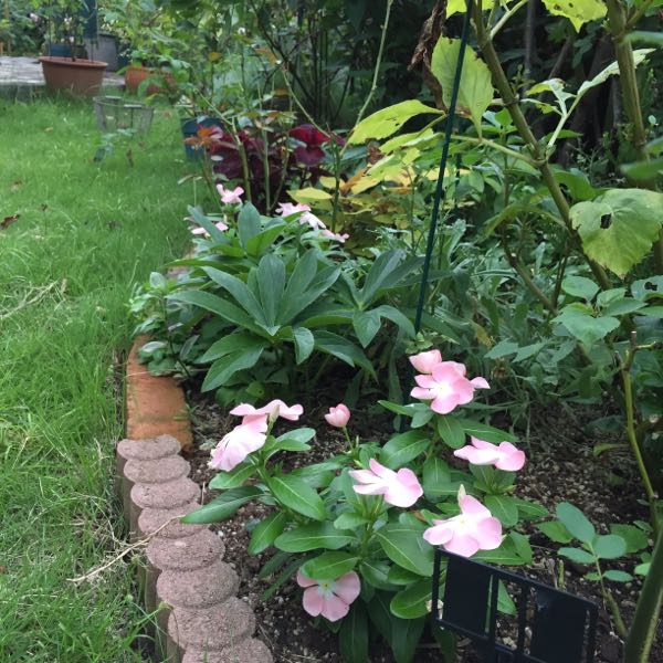 rblog-20170813225556-05.jpg