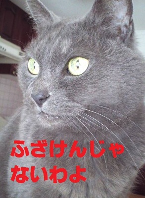KIMG0015.JPG
