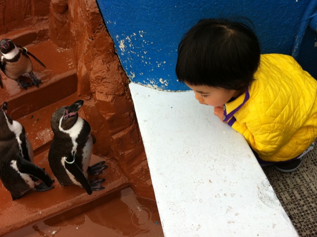 子猿とペンギン