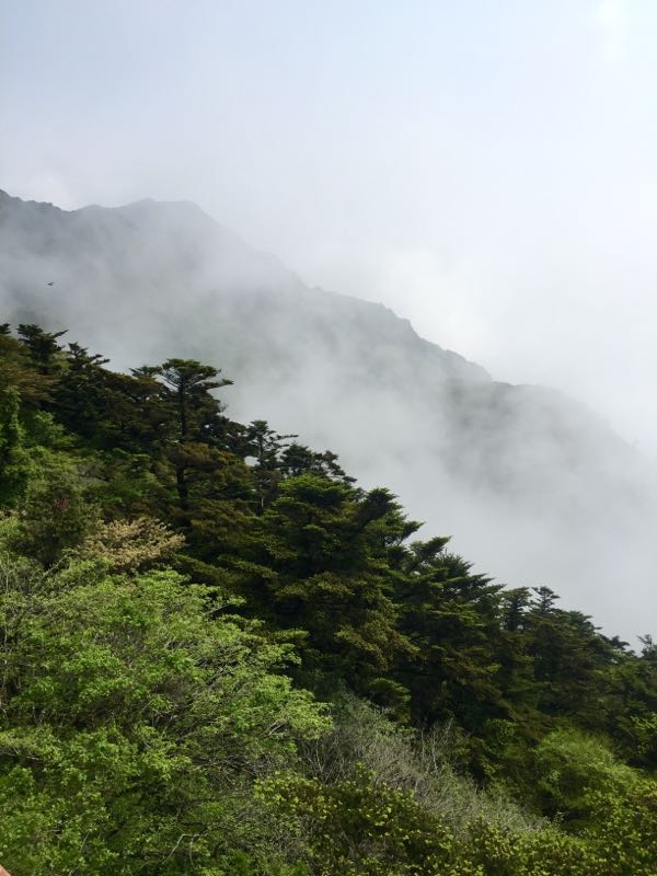 rblog-20160507182317-06.jpg