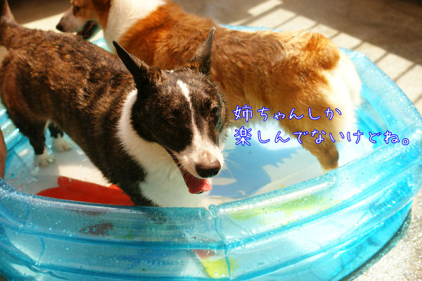 水遊び-5.JPG