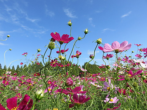 IMG_6300.jpg