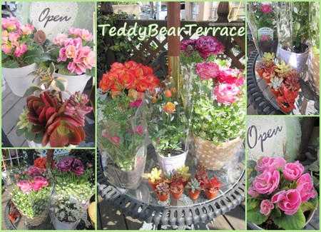 テディベアテラスガーデン２０１２春2.jpg