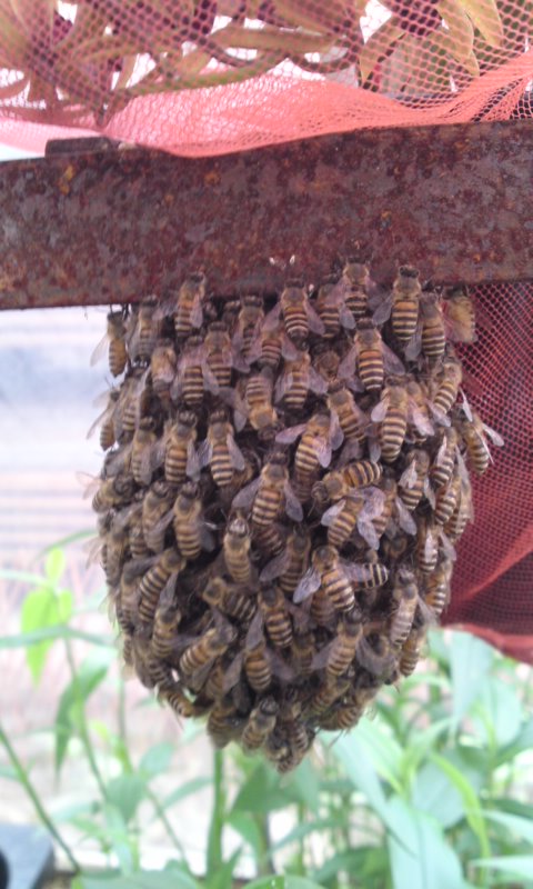 写真2.jpg