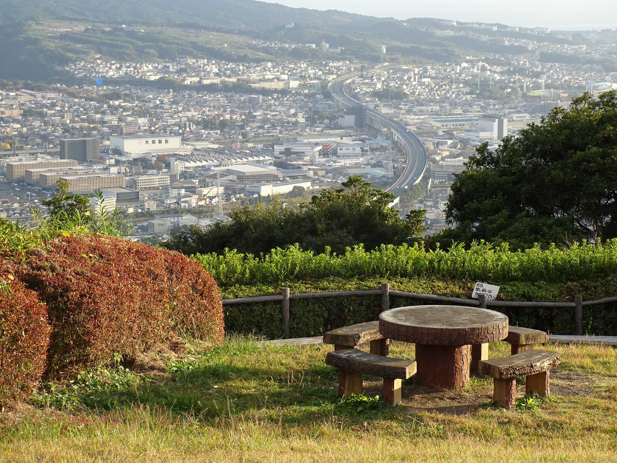 サラと梶原山から帆掛山へ～ 2022.11.6 | 隊長さんの山ある記 - 楽天ブログ