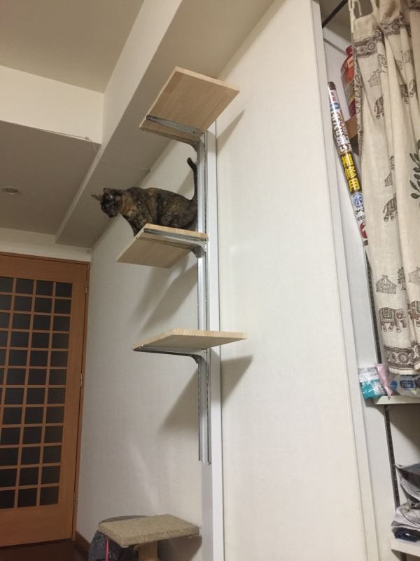 rblog-20161009213115-01.jpg