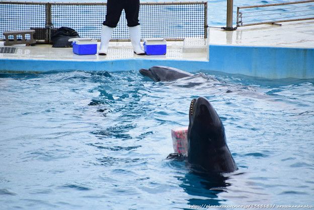 結局のところ、モナリザは笑っていますか?それは科学によって保証されています。